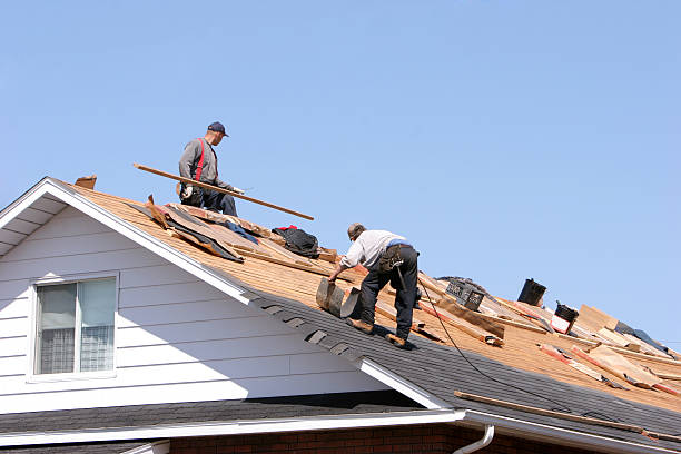 Best Cold Roofs  in Xenia, OH